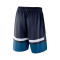 Short Nike Minnesota Timberwolves Swingman Icon Edition