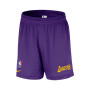 Los Angeles Lakers Openhole Mesh-Field Purple