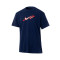 T-Shirt Nike Lebron James Max90