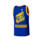 Maillot Mitchell & Ness Golden State Warriors Swingman - Jason Richardson 2004-05