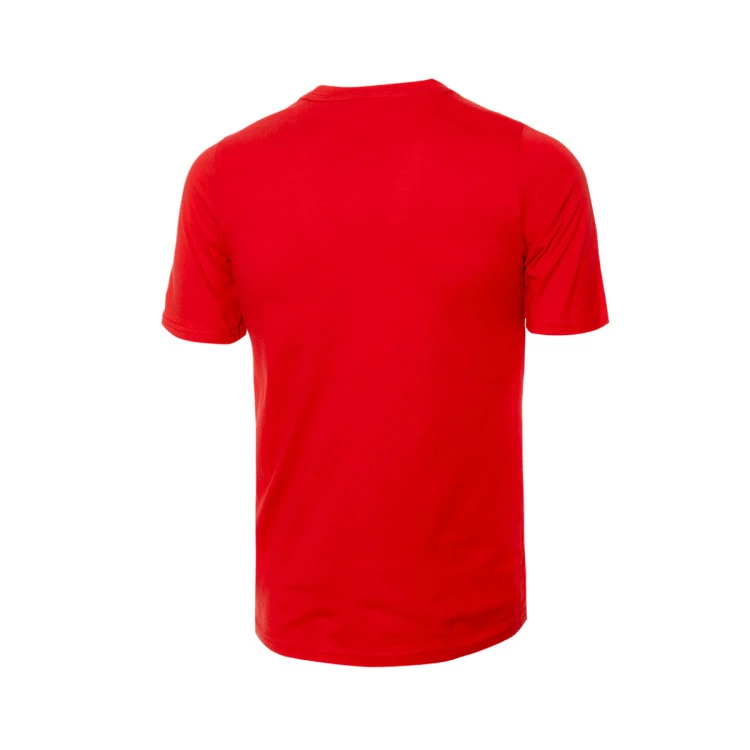 camiseta-nike-seleccion-de-espana-2024-nino-gym-red-1