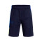 Short Under Armour Enfant Baseline