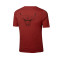 T-Shirt Jordan Enfant Chicago Bulls Courtside Statement