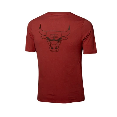 T-Shirt Enfant Chicago Bulls Courtside Statement