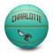 Ballon Wilson Charlotte Hornets City Edition 2024-2025