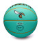 Ballon Wilson Charlotte Hornets City Edition 2024-2025