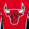 Veste Mitchell & Ness NBA Authentic Warm Up Chicago Bulls 92-93
