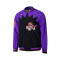 Veste Mitchell & Ness NBA Authentic Warm Up Toronto Raptors 1995-96