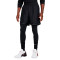 Short Nike Lebron DNA 3 in 1
