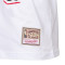 T-Shirt Mitchell & Ness Chalked UP Toronto Raptors