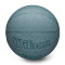 Ballon Wilson NBA DRV Pro