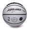 Ballon Wilson NBA Player Icon UV Lebron James
