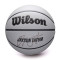 Ballon Wilson NBA Player Icon UV Jayson Tatum