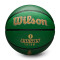 Ballon Wilson NBA Player Icon Outdoor Jayson Tatum