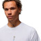 T-Shirt Jordan Sport Dri-Fit Graphic Crew