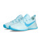 Chaussures Nike Lebron TR1