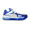 Chaussures Nike Zoom KD 4 The Real MVP