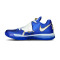 Chaussures Nike Zoom KD 4 The Real MVP