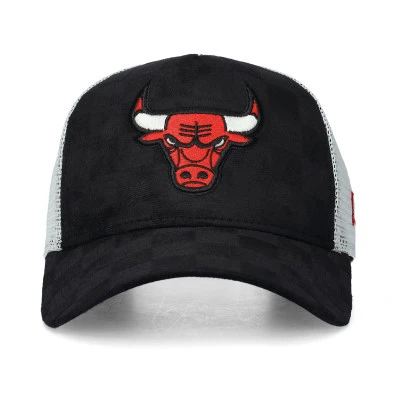 Casquette Chicago Bulls Tonal Check 9Forty