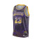 Maillot Nike Los Angeles Lakers Lebron James Select Series 2025-2026