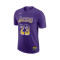 T-Shirt Nike Los Angeles Lakers Lebron James Select Series 2025-2026