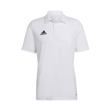 Polo Entrada 22 m/c EQPCBE White