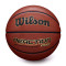 Ballon Wilson Reaction Pro Basketball EQPCBE
