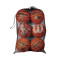 Sac Wilson NBA 6 Ball Mesh Carry EQPCBE