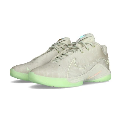 Chaussures Lebron 22 Dunkman