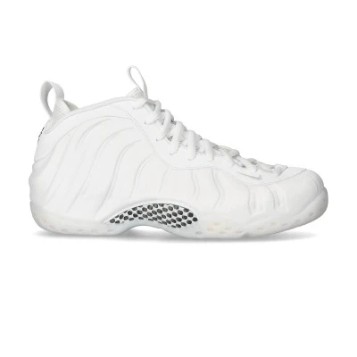 Baskets Air Foamposite One