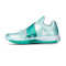 Chaussures Nike Zoom KD 4