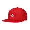 Casquette Jordan Pro Sneaker
