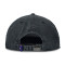 Casquette Jordan Pro Rare Rair