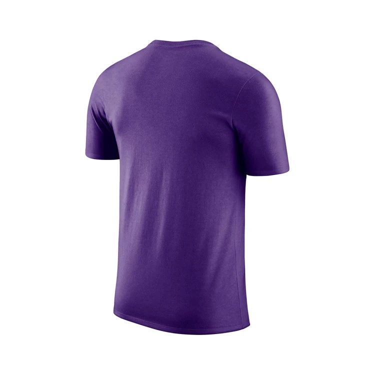 camiseta-jordan-los-angeles-lakers-nba-cities-nino-field-purple-1