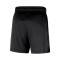 Short Nike Boston Celtics Openhole Mesh