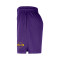 Short Nike Los Angeles Lakers Openhole Mesh