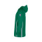 Sweat-shirt Nike Boston Celtics Dri-Fit Zone