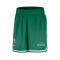 Short Nike Boston Celtics DNA Woven