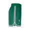 Short Nike Boston Celtics DNA Woven
