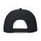 Casquette Jordan Pro Brand Essential
