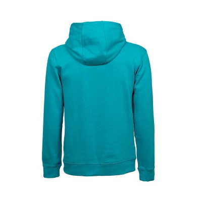 Sweat-shirt Enfants Charlotte Hornets Club Fleece