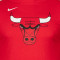 T-Shirt Nike Enfant Chicago Bulls Essential Logo