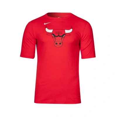 T-Shirt Enfant Chicago Bulls Essential Logo