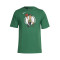 T-Shirt Nike Enfant Boston Celtics Logo Essentiel