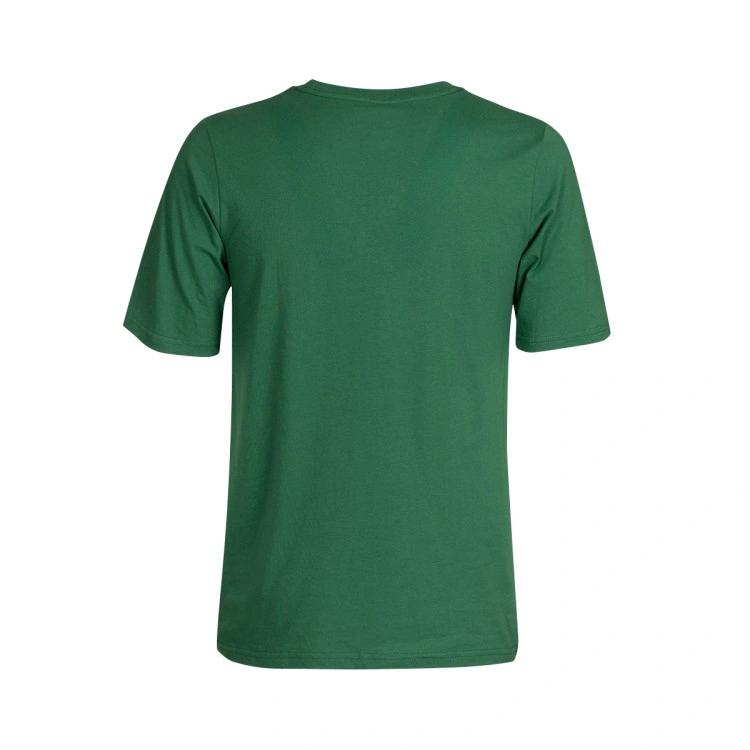 camiseta-nike-boston-celtics-essential-logo-nino-verde-1