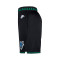 Short Nike Minnesota Timberwolves Swingman Hardwood Classics 2025-2026