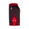 Short Jordan Chicago Bulls Swingman Statement Edition