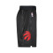 Short Nike Toronto Raptors Swingman City Edition
