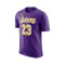 T-Shirt Jordan Los Angeles Lakers Essential Statement Edition Lebron James
