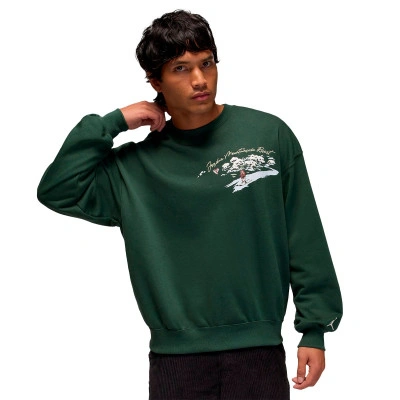 Sweat-shirt Équipe Brooklyn Snowscape